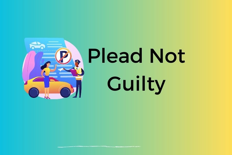 Plead Not Guilty